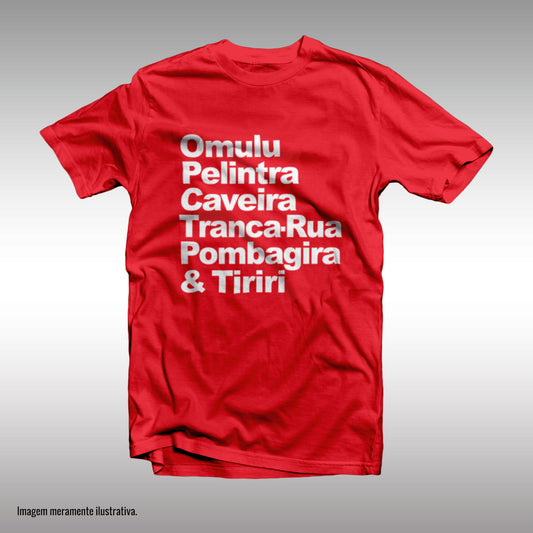 CAMISETA ENTIDADES
