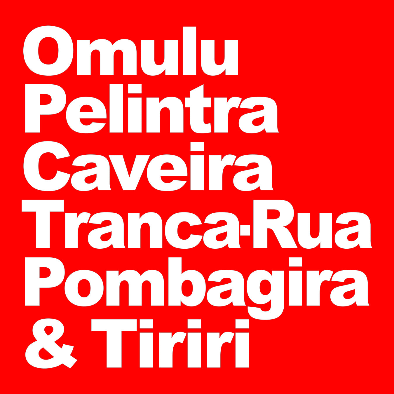 CAMISETA ENTIDADES