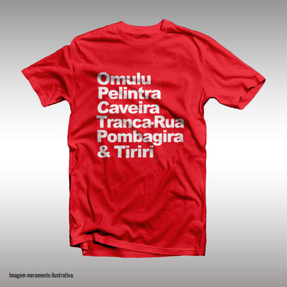 CAMISETA ENTIDADES